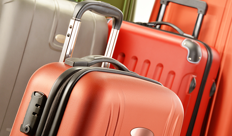 Store Category - Luggage backpacks